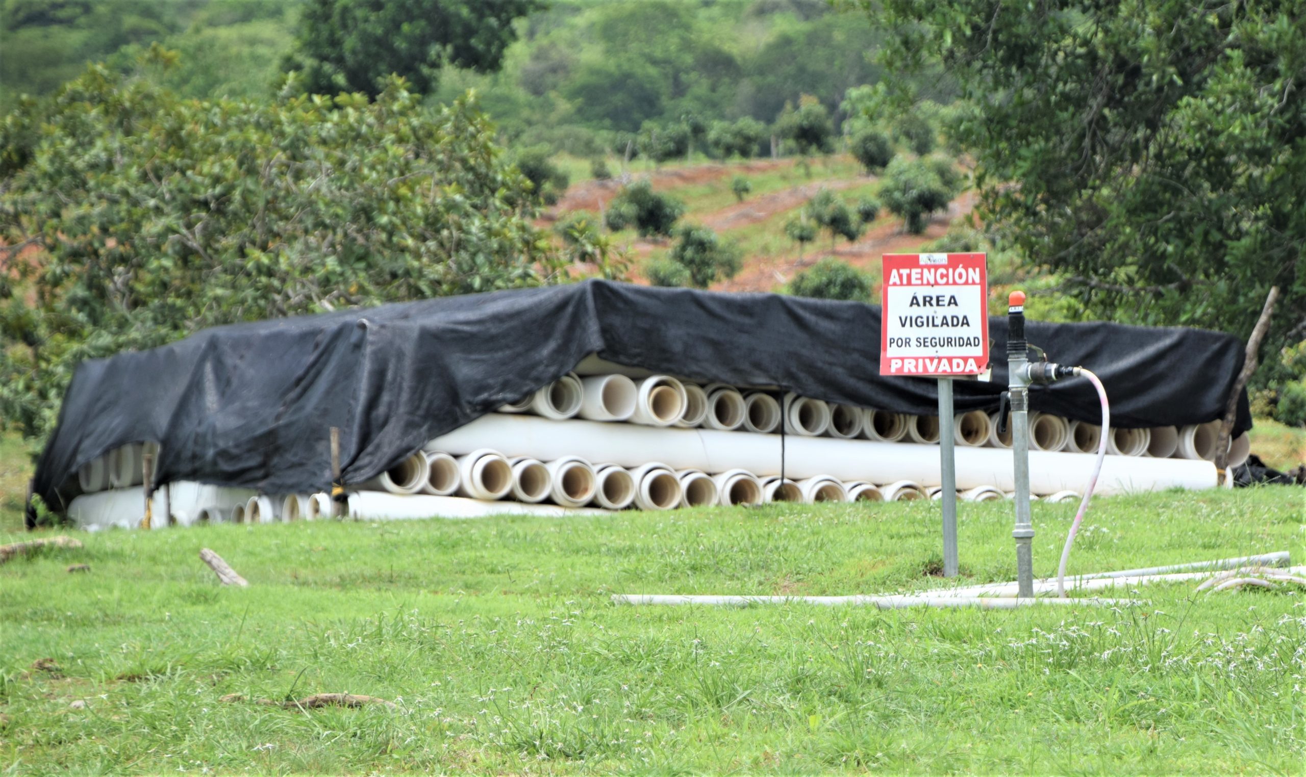 Ready for the new pumping system; piping staged at the San Francisco plantation.